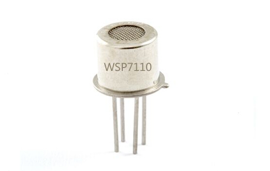 Hydrogen Sulfide Gas Sensor (H2S Gas Sensor) WSP7110