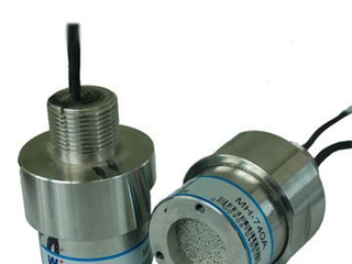 Carbon Dioxide Sensor (CO2 Sensor)