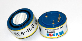 Hydrogen Sulfide Sensor (H2S Sensor)