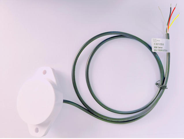 Water Leakage Sensor - WS61