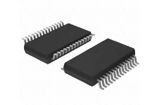 Microcontroller/MCU