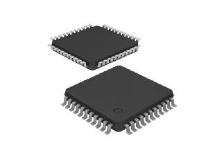 Microcontroller/MCU