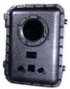 Explosion-Proof 2-Channel Gas Controller - MP220EX