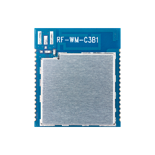 WiFi module