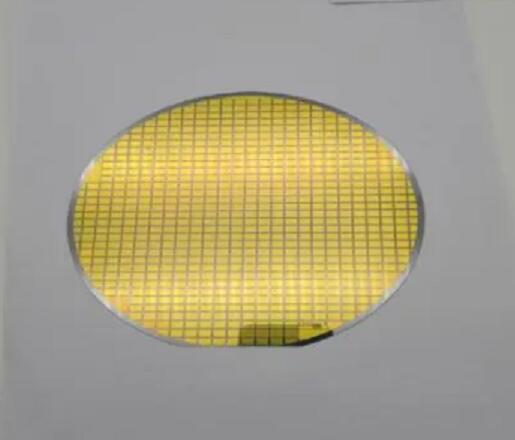 IGBT Wafer - P81MV023NL0014P
