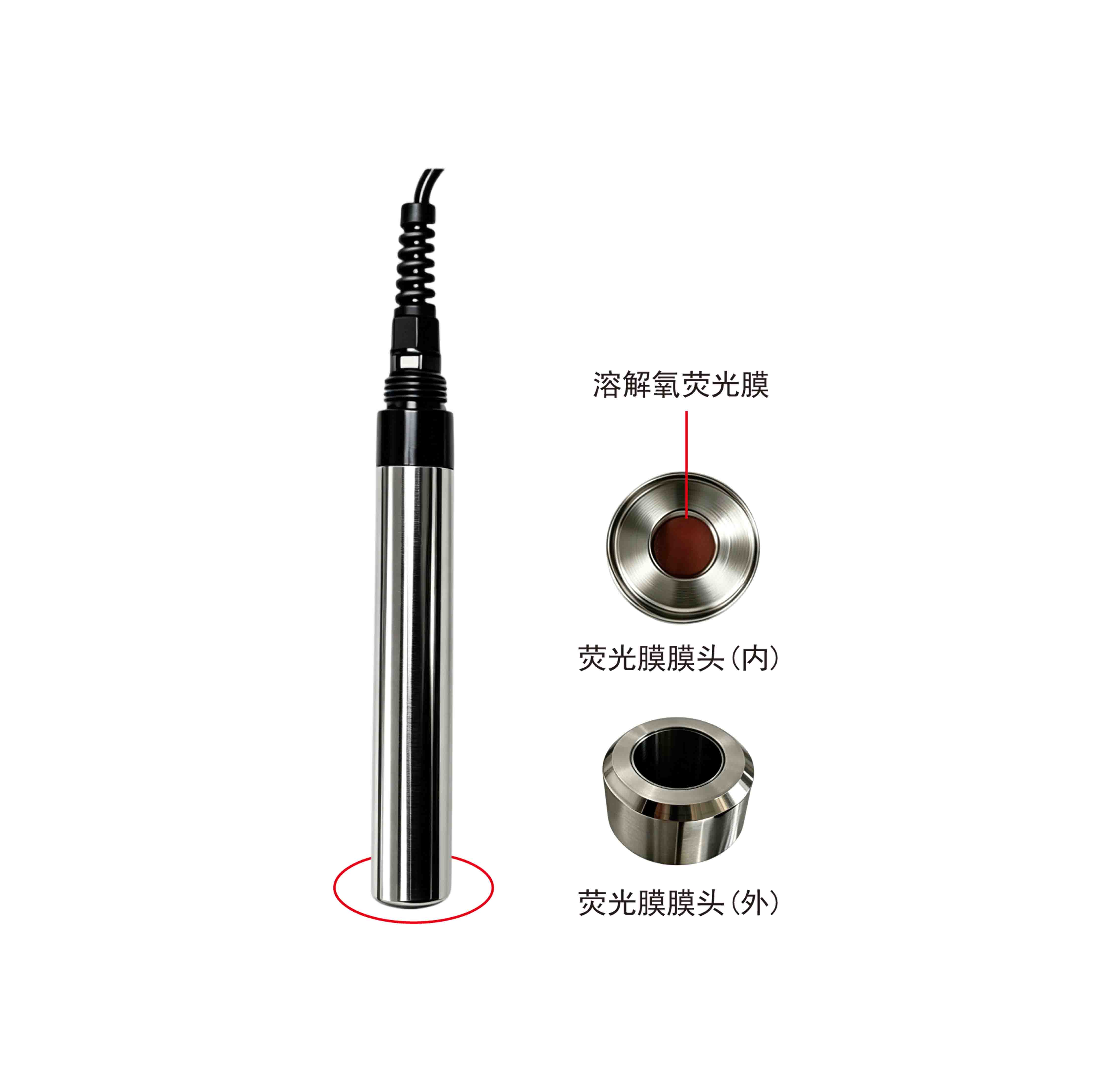 Water Environment Dissolved Oxygen Detection Smart Dissolved Oxygen Sensor AMT-DO300