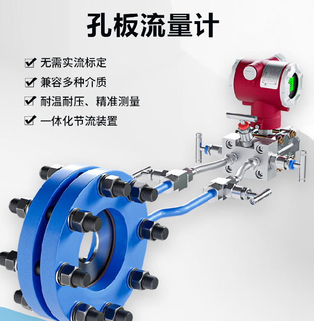 AOM300系列 差压式孔板流量计