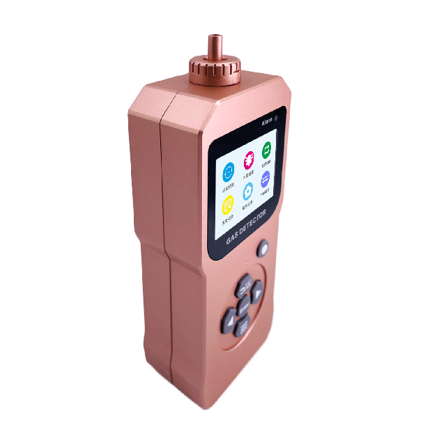 Tragbares Wasserstoffbromid(HBr)-Gasmessgerät